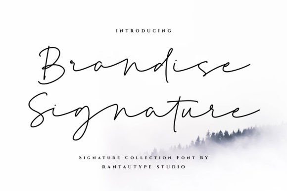 Brandise Signature: Where Digital Design Meets Handcrafted Elegance