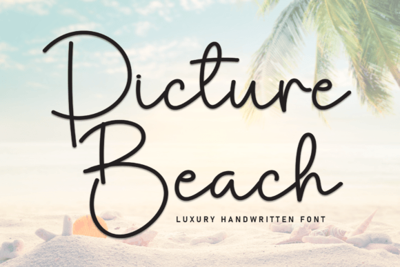 Bridging the Gap Between Digital Efficiency and Human Warmth with Picture Beach