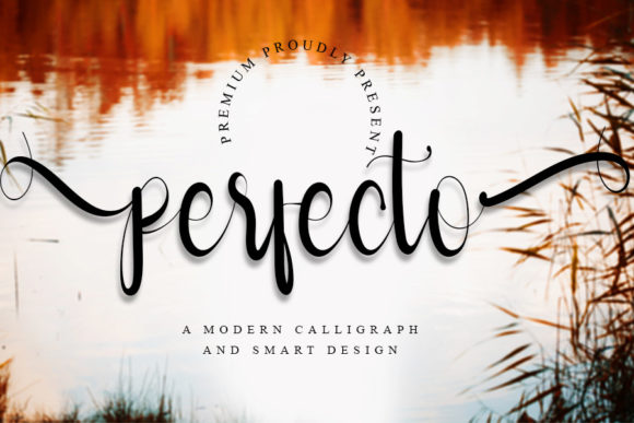 Perfecto: A Whimsical Script for Every Creator