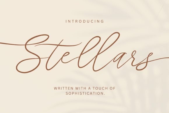 Stellars: Elevate Your Designs with Exquisite Handwritten Flair