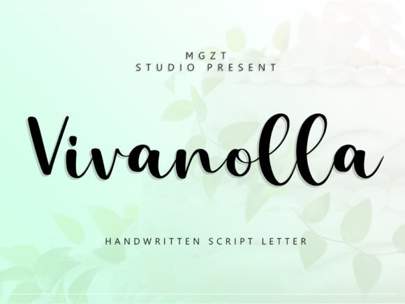 Why Vivanolla Is the Perfect Choice for Your Next Creative Project